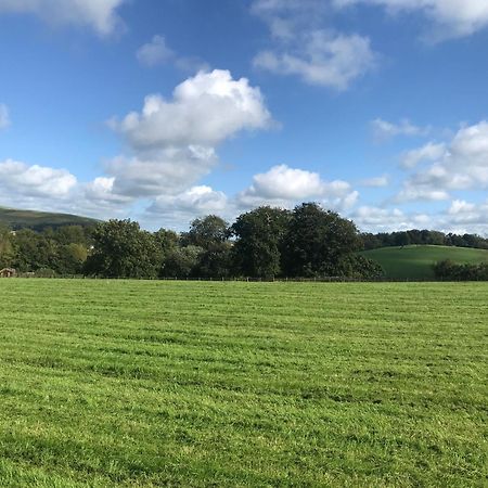 Romantic Rural Break In Countryside Castle Grounds Private Retreat Wizards Rest Bishops Tawton Esterno foto